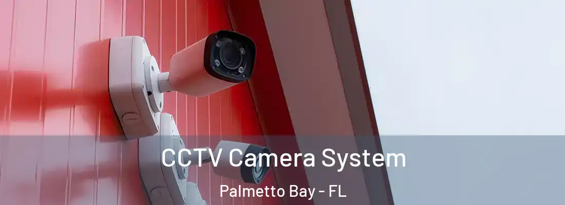  CCTV Camera System Palmetto Bay - FL