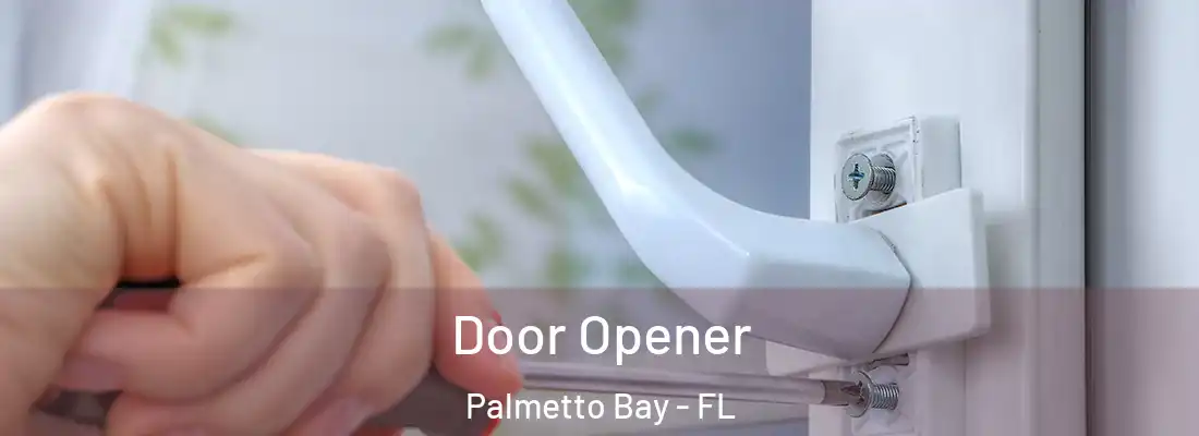  Door Opener Palmetto Bay - FL