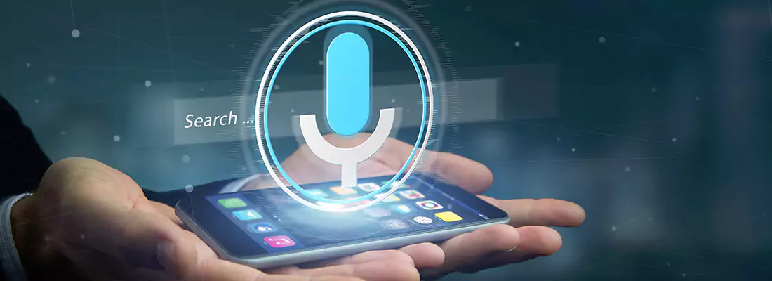Enhance Security with Voice Recognition Access Systems in Palmetto Bay, FL