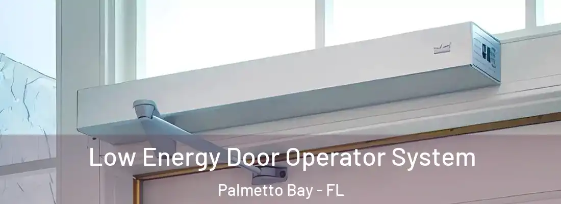  Low Energy Door Operator System Palmetto Bay - FL